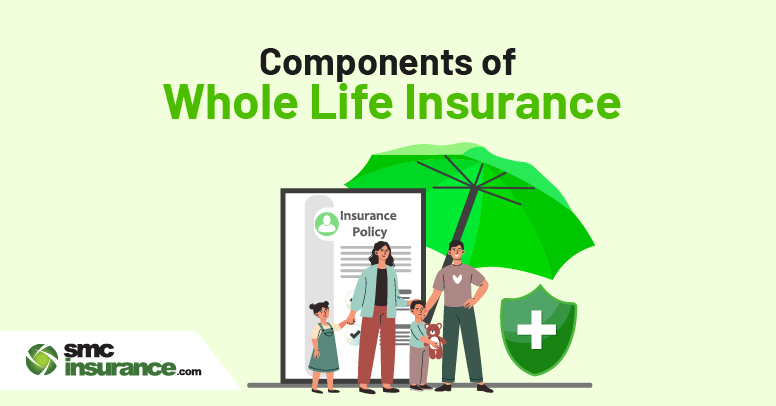 Components of Whole Life Insurance