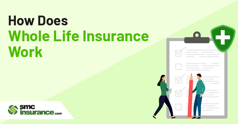 How Does Whole Life Insurance Work?